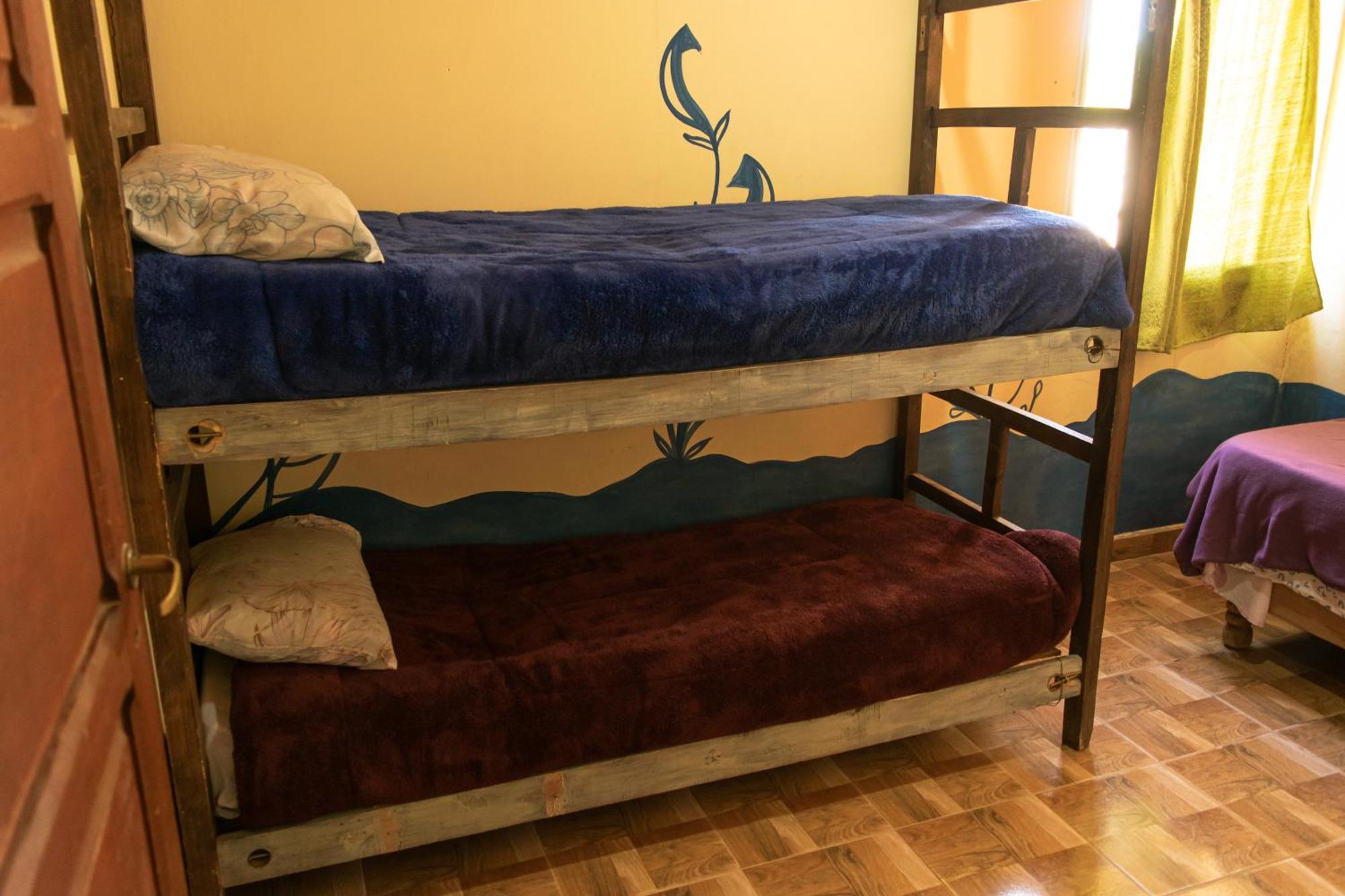 هوماهواكا Acusi Hostel Camping المظهر الخارجي الصورة