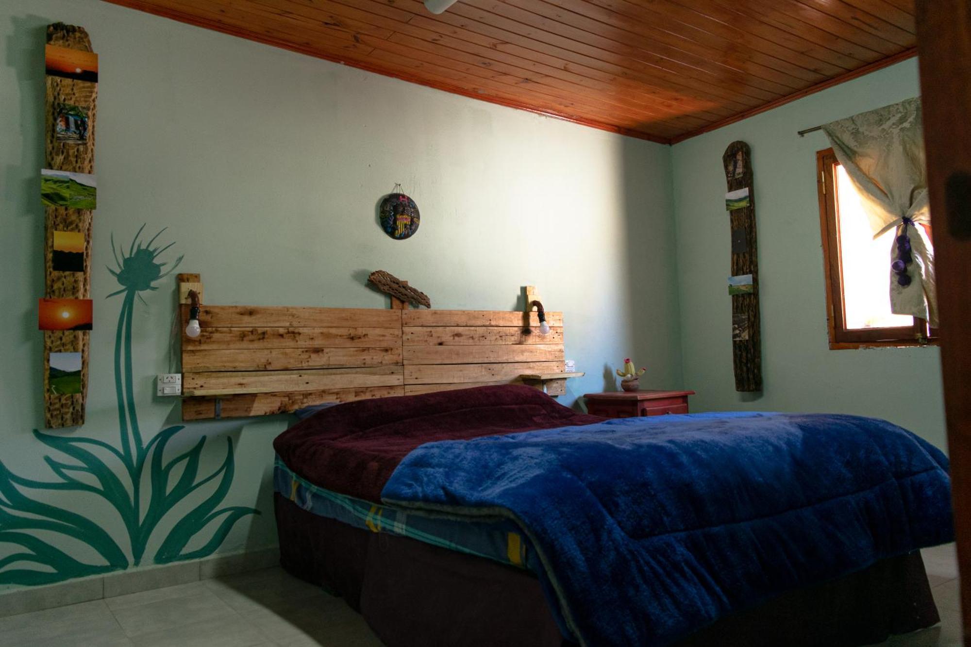 هوماهواكا Acusi Hostel Camping المظهر الخارجي الصورة